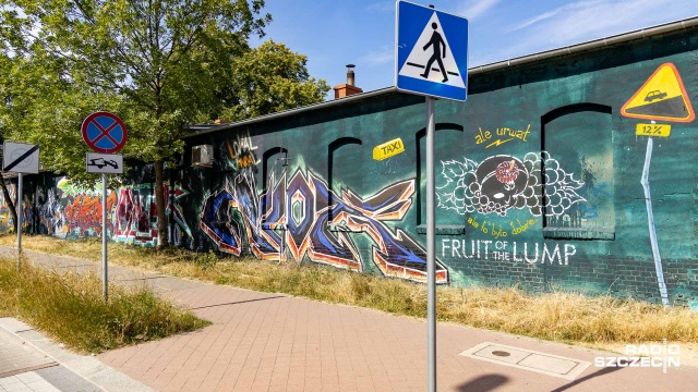 Fot. Robert Stachnik [Radio Szczecin] Był hitem w internecie, doczekał się muralu w Szczecinie [WIDEO, ZDJĘCIA]