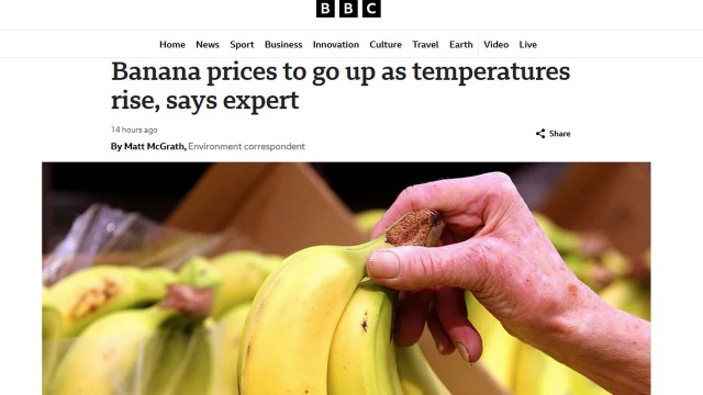 Ocieplenie klimatu może spowodować wzrost cen bananów - alarmują eksperci obecni na międzynarodowej konferencji w Rzymie zorganizowanej przez World Banana Forum.