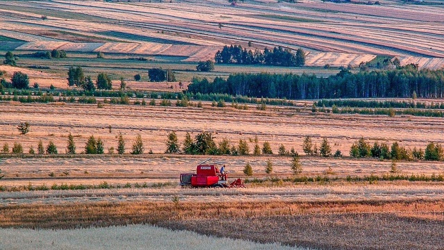 Komisja Europejska jest gotowa ograniczyć import taniego zboża z Rosji i Białorusi do Unii, ale jest przeciwna sankcjom na produkty rolno-spożywcze.