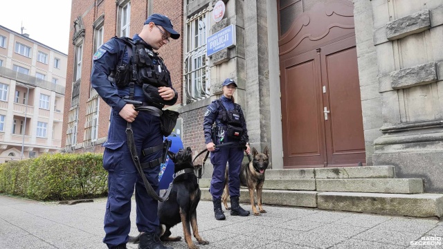 Chociaż nie noszą munduru, to w pracy policji są niezastąpieni - psi funkcjonariusze pełnią służbę w kołobrzeskiej komendzie.