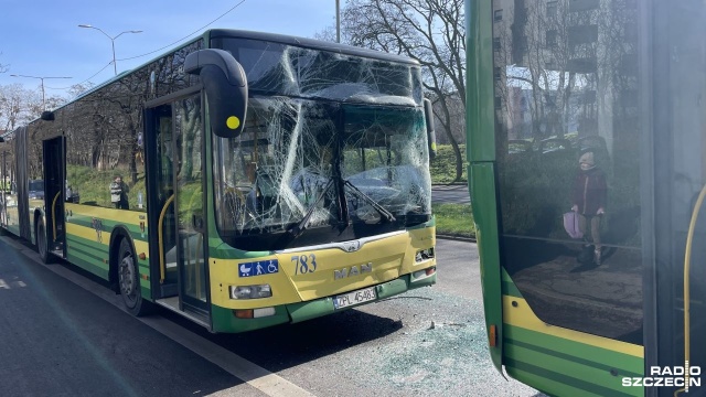 16 osób poszkodowanych, w tym siedmioro dorosłych i dziewięcioro dzieci. Wszyscy trafili do szpitali i przechodzą badania - takie są najnowsze dane o rannych po porannym zderzeniu dwóch autobusów na skrzyżowaniu ulic Sczanieckiej i Gontyny w Szczecinie.