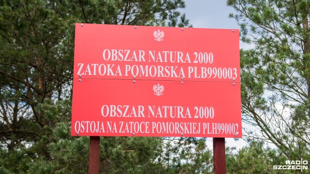 Największa międzynarodowa sieć obszarów chronionych, czyli Natura 2000, obchodzi swoje święto. Od 20 lat, wraz z wejściem Polski do Unii Europejskiej, również w naszym kraju wyznaczane są obszary ochrony zwierząt i ich siedlisk.