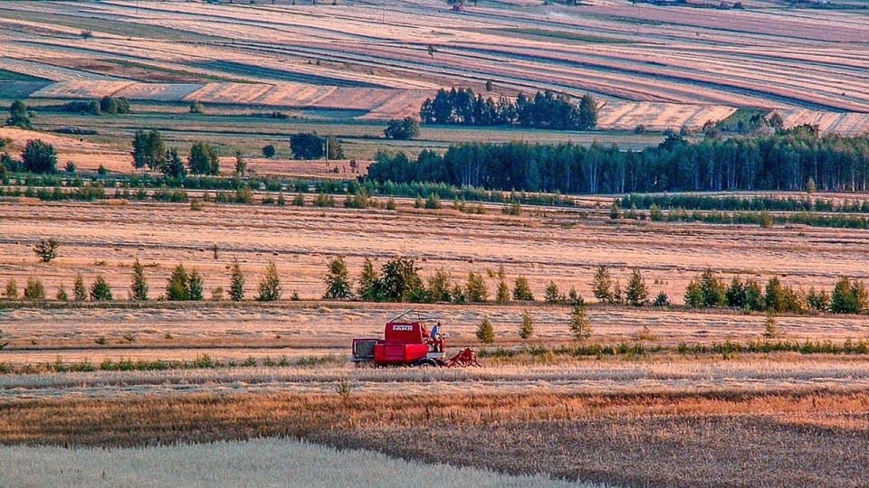 O embargo na produkty rolno-spożywcze z Rosji jako pierwsza w Unii zaapelowała Łotwa, później dołączyła do niej Polska. źródło: https://pixabay.com/pl/2746920/klamczynski klamczynski/CC0 - domena publiczna