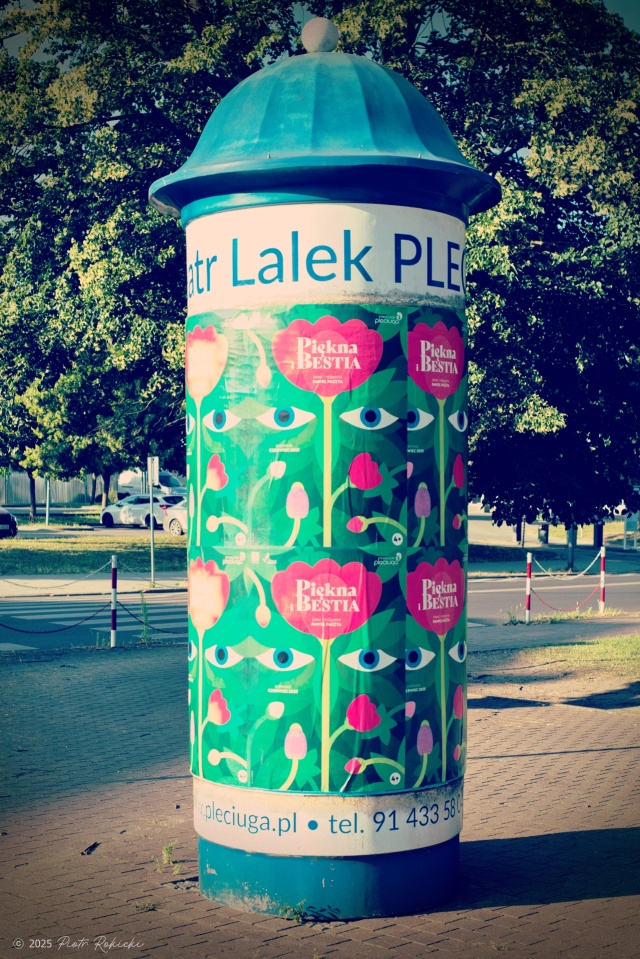 Pleciuga, fot. Piotr Rokicki 