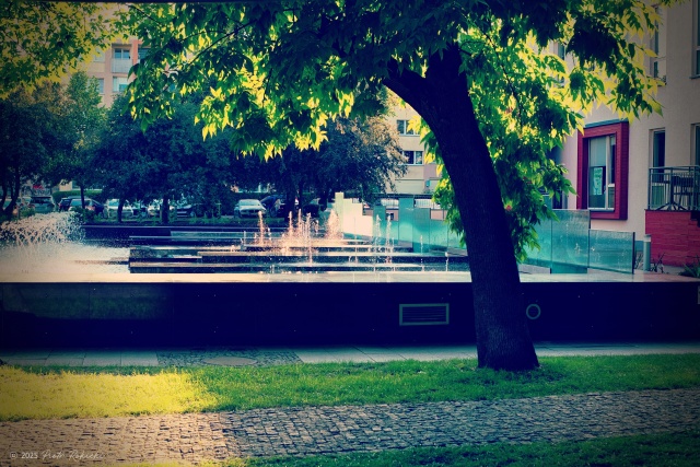 Pleciuga, fot. Piotr Rokicki 