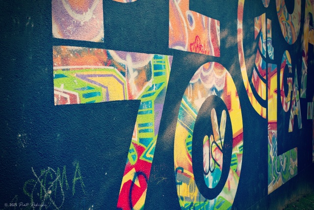 Pleciuga, fot. Piotr Rokicki 