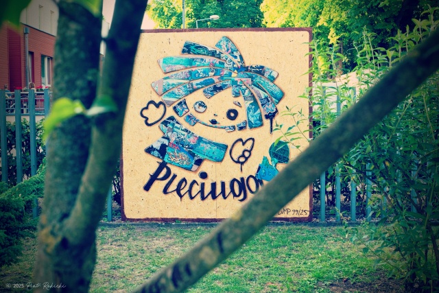 Pleciuga, fot. Piotr Rokicki 