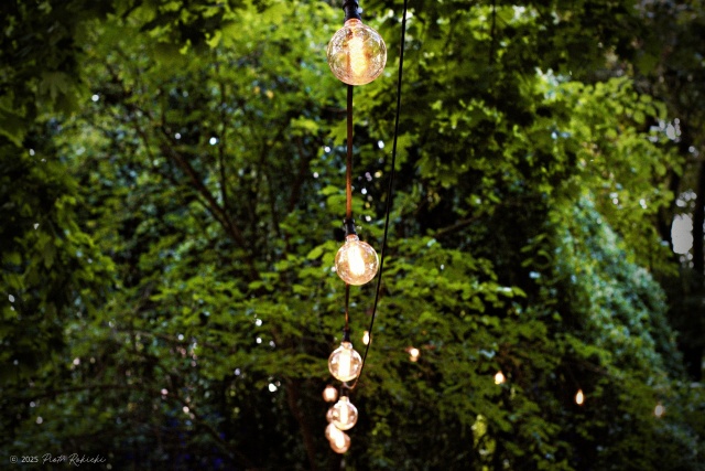 Figger & Maja Laura, fot. Piotr Rokicki 