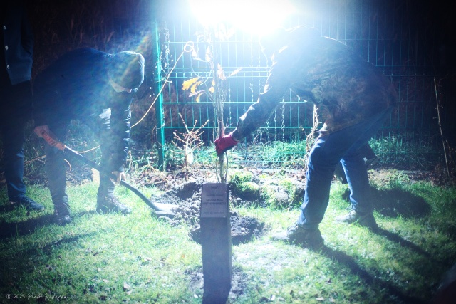 Pamiętamy o... Ciechowskim, fot. Piotr Rokicki 