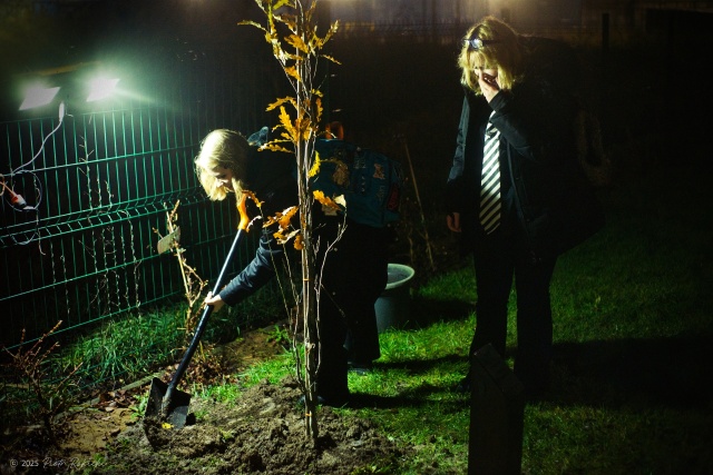 Pamiętamy o... Ciechowskim, fot. Piotr Rokicki 