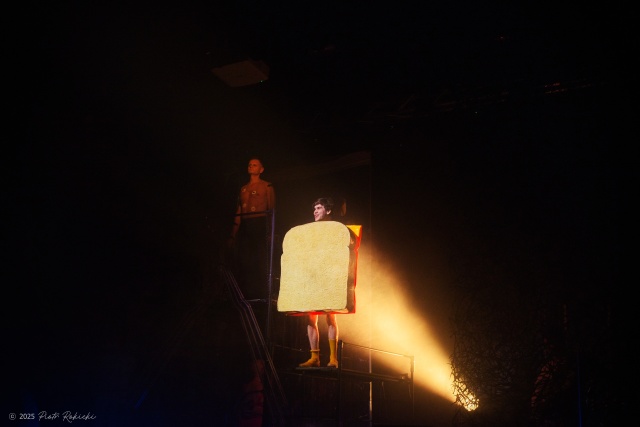 Pamiętamy o... Ciechowskim, fot. Piotr Rokicki 