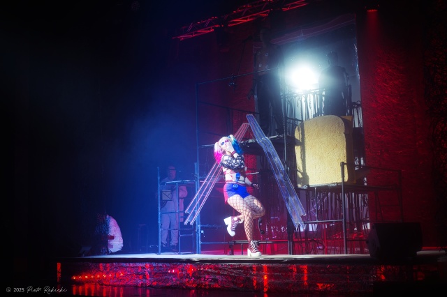 Pamiętamy o... Ciechowskim, fot. Piotr Rokicki 