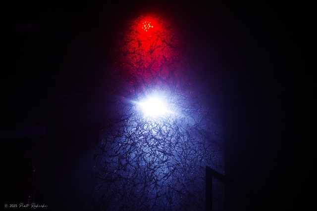 Pamiętamy o... Ciechowskim, fot. Piotr Rokicki 