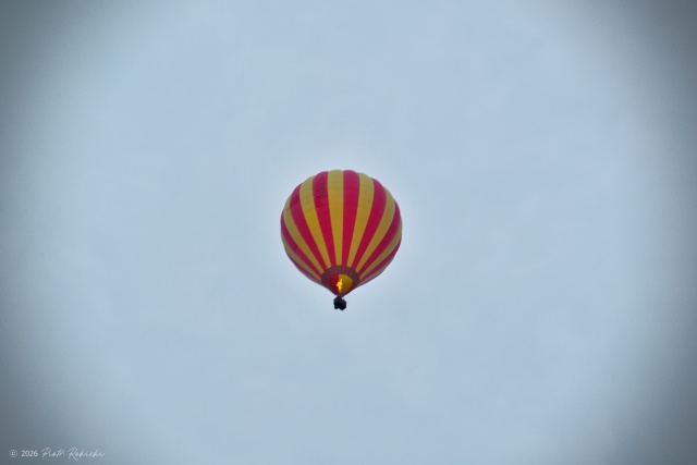 Bal balonów, fot. Piotr Rokicki ISO 40 czyli...
