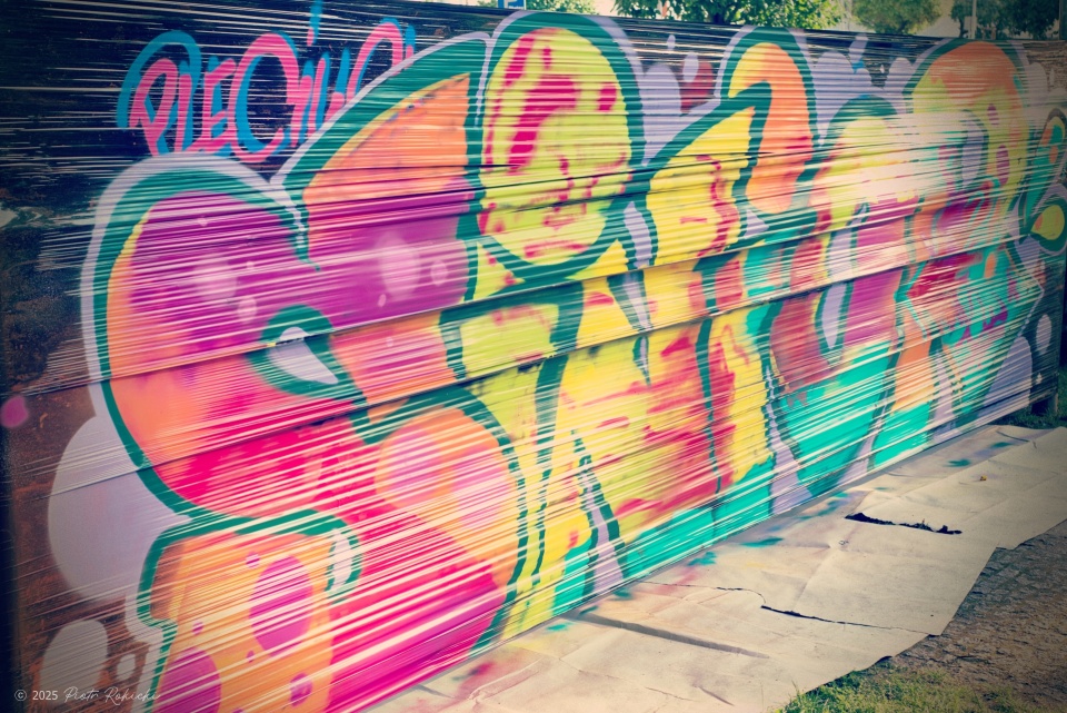 Pleciuga, fot. Piotr Rokicki