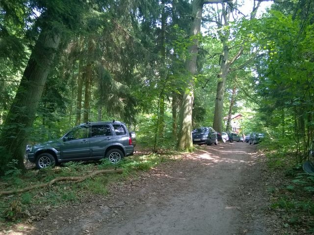 Samochody parkujące w lesie - Świętouść - fot.S.Orlik [21.07.2014]