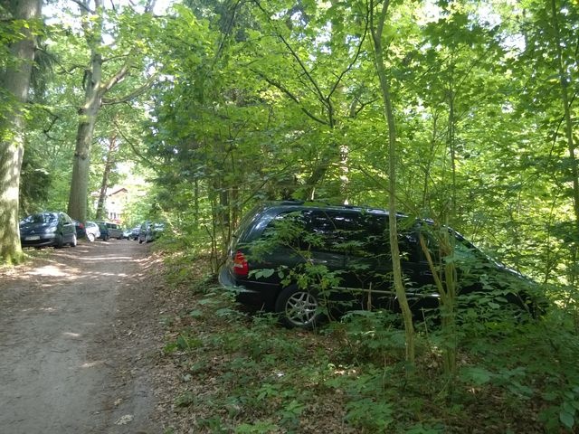 Samochody parkujące w lesie - Świętouść - fot.S.Orlik [21.07.2014]