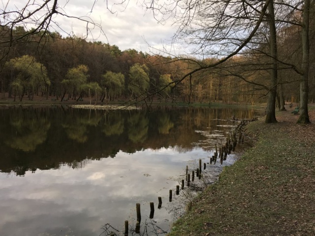 Jez.Wędkarskie na Głębokim - fot. Janusz Wilczyński 12.04.2016