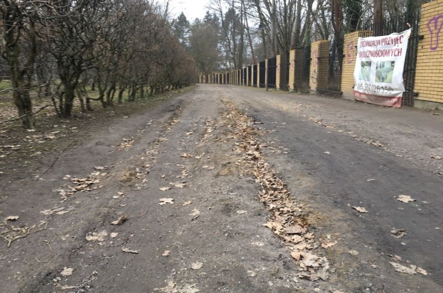 Rozjeżdżone alejki, fot. J. Wilczyński 03.04.2018