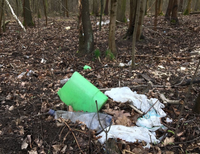 Śmieci w lesie przy Szosie Stargardziej, fot. S. Orlik 28.03.2019