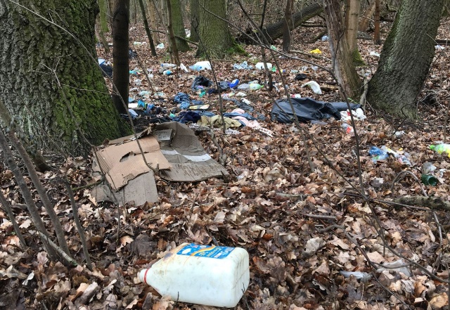 Śmieci w lesie przy Szosie Stargardziej, fot. S. Orlik 28.03.2019