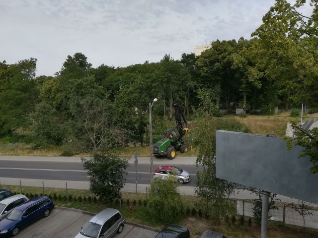 Wycinka drzew wzdłuż torów kolejowych - fot.Słuchaczka 16.07.2019