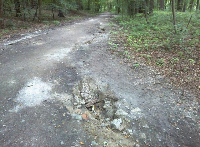 Rozmyte ścieżki w Lesie Arkońskim 04.08.2020
