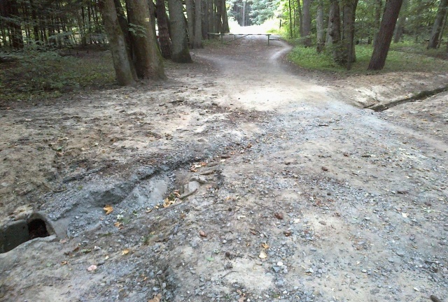Rozmyte ścieżki w Lesie Arkońskim 04.08.2020