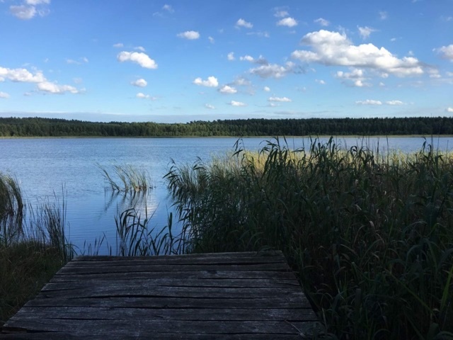 Jezioro Piaski, zdjęcie z 2017 roku, fot. Janusz Wilczyński 24.08.2020
