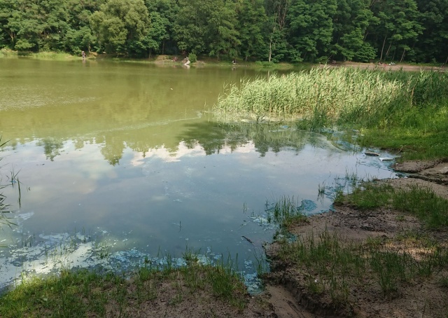 Zanieczyszczone jezioro Goplany, fot. Sluchacz, pan Mariusz 07.07.2021
