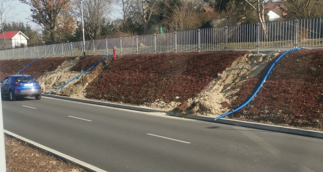 Mata rozchodnikowa na ul. Szafera, fot. Słuchacz, pan Rafał 30.03.2022