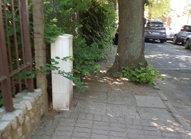Gałęzie wychodzące na ulice, fot. Słuchaczka 16.05.2024