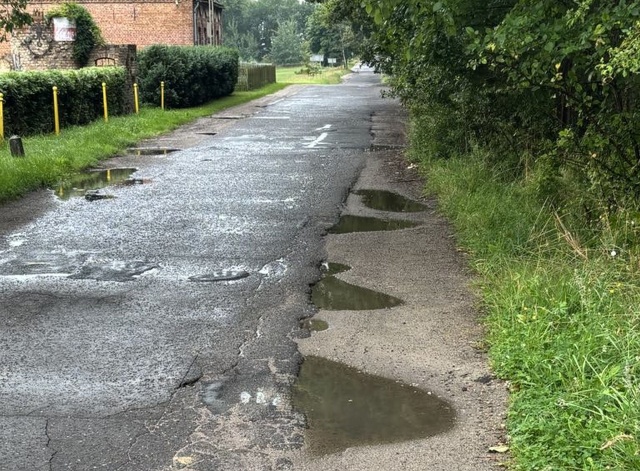 Droga Buk - Łęgi, fot. Słuchacz, pan Wojciech 07.08.2025