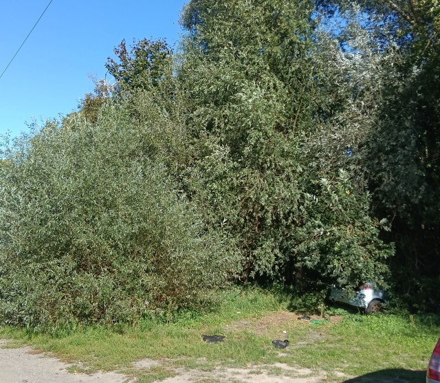 Wrak na os. Bukowym, fot. Słuchacz, pan Marek 25.09.2025