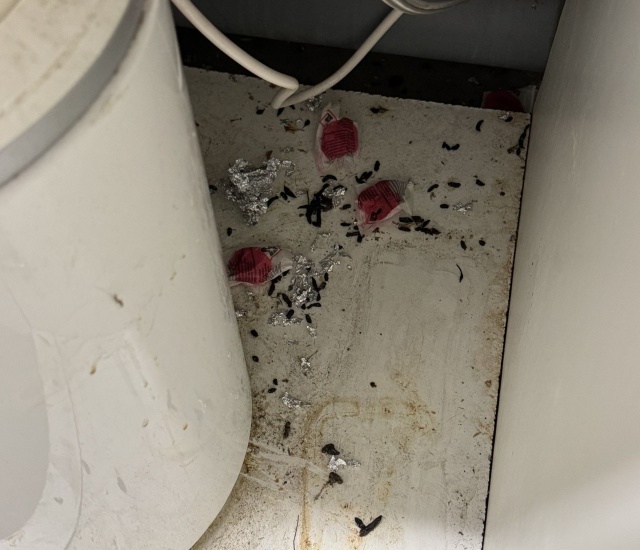 Zaplecze socjalne Tramwajów Szczecińskich przy ul. Szpitalnej, fot. Słuchacz 10.12.2025