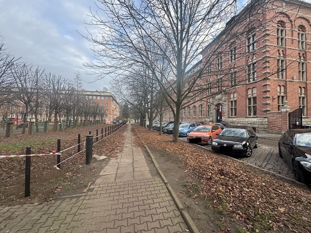 Słupki przy ul.Jarowita w Szczecinie - fot.M.Rembas 19.12.2025