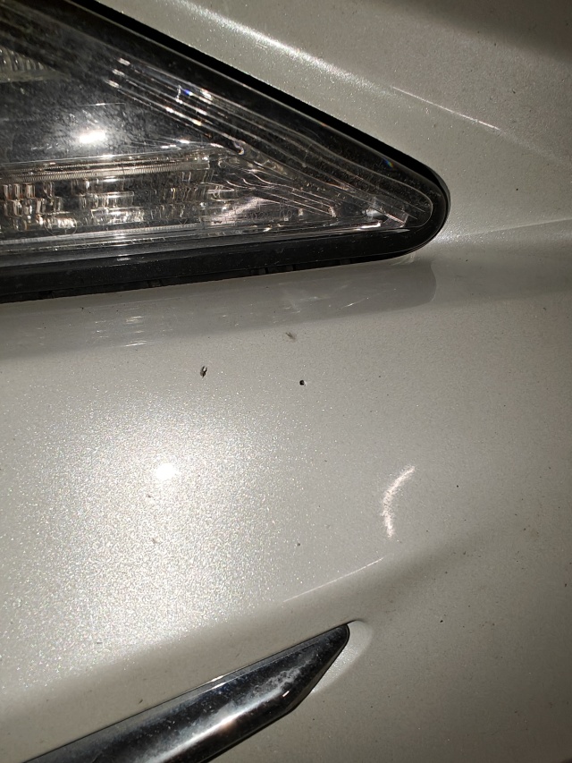 Uszkodzenie lakieru przez firmę Niwa - fot.Słuchaczka 20.03.2026