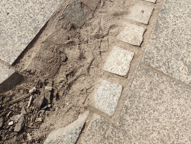 "Pamiątki po zimie", fot. Słuchacz, pan Bogusław 24.03.2026