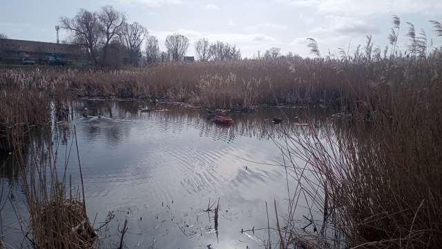 źródło: Państwowe Gospodarstwo Wodne Wody Polskie 27.03.2026