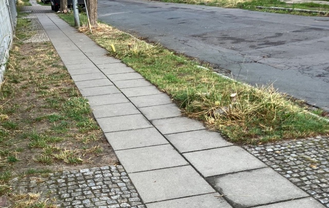 Ścięte drzewa na ul. Syrokomli, fot. Małgorzata Furga, Radio Szczecin 21.07.2026