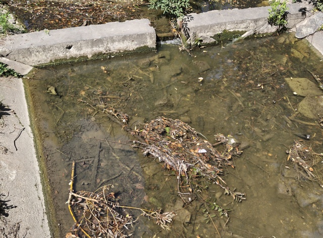 Jezioro Rusałka, fot. Słuchaczka, pani Małgorzata 22.07.2026