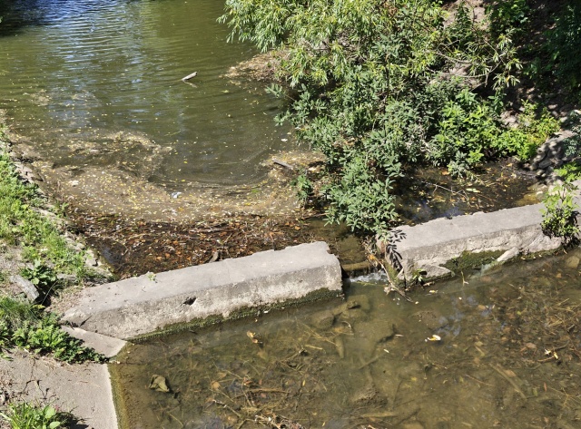 Jezioro Rusałka, fot. Słuchaczka, pani Małgorzata 22.07.2026