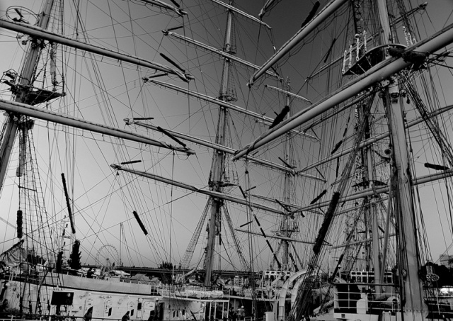 55 Plener Migawki - fot. Mariusz Kopański (8) [03-06.08.2013] 55 Plener Migawki - Finał Regat The Tall Ships Races 2013 w Szczecinie