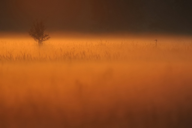 "Kadry kreślone piórem" - zdjęcie: Miłosz Kowalewski [29.09.2013] Galeria Gościa - Miłosz Kowalewski: "Kadry kreślone piórem"