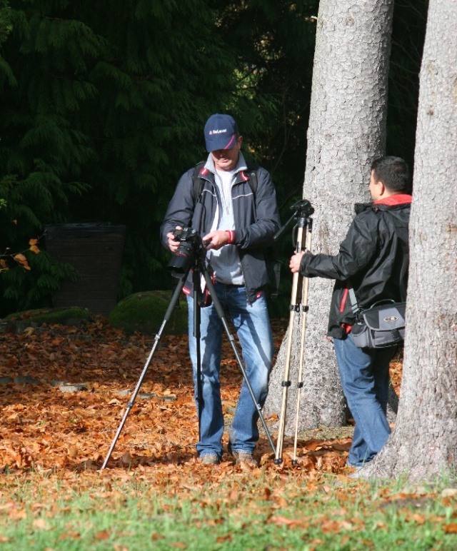 58 Plener Migawki - fot. Eugeniusz Bednarski (16) [27.10.2013] 58. Plener Migawki - Jesień w Ogrodzie Dendrologicznym w Glinnej