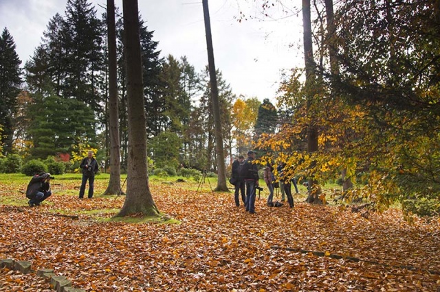 58 Plener Migawki - fot. Mirosław Tomczuk (10) [27.10.2013] 58. Plener Migawki - Jesień w Ogrodzie Dendrologicznym w Glinnej