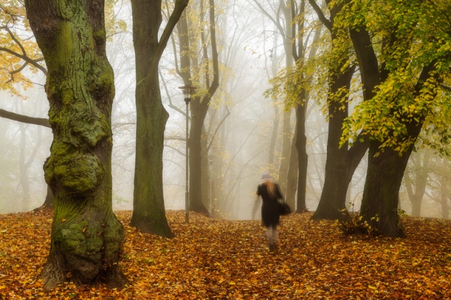 71 Plener Migawki - fot. Regina Nowotarska - Odchodząca jesień (1) [09.11.2014] 71. Plener Migawki - "Jesienne opowieści"