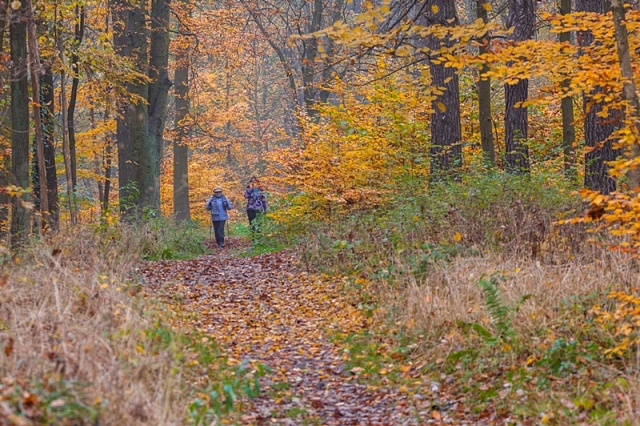 71 Plener Migawki - fot. Zbigniew Jabłoński - Jesienne wolne chwile (4) [09.11.2014] 71. Plener Migawki - "Jesienne opowieści"