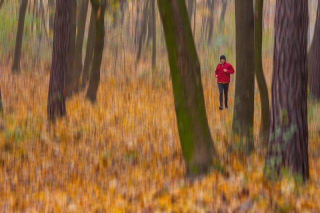 71 Plener Migawki - fot. Zbigniew Jabłoński - Jesienne wolne chwile (5) [09.11.2014] 71. Plener Migawki - "Jesienne opowieści"