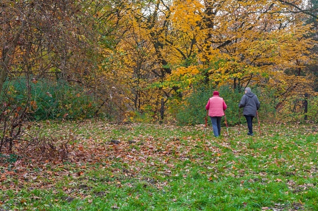 71 Plener Migawki - fot. Zbigniew Jabłoński - Jesienne wolne chwile (6) [09.11.2014] 71. Plener Migawki - "Jesienne opowieści"